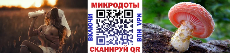 Галлюциногенные грибы Cubensis Сунжа