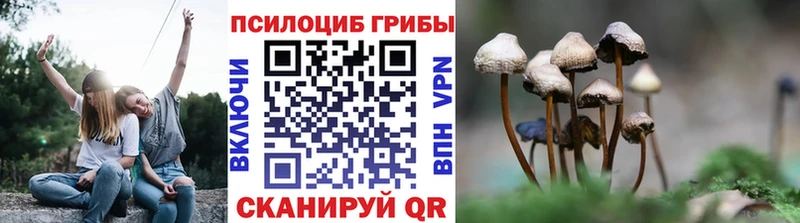 Галлюциногенные грибы ЛСД  Сунжа 