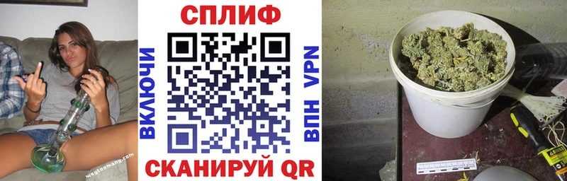 Каннабис AK-47  Сунжа 